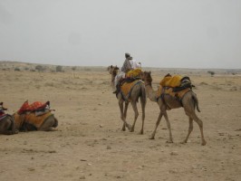 Scopri di più sull'articolo Deserto e dubbi!