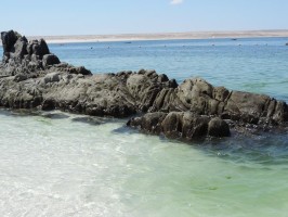 Scopri di più sull'articolo Deserto e Oceano! / Desert and Ocean!