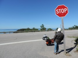 Scopri di più sull'articolo Ontario e il primo orsacchiotto…